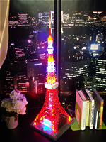 1/500「東京タワー2007」